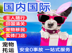 锦州航空邮寄国际宠物托运 【国